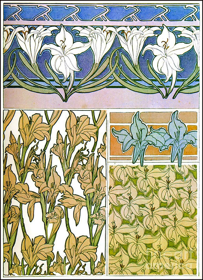 Lily Design Sketches 1901 Photograph by Padre Art