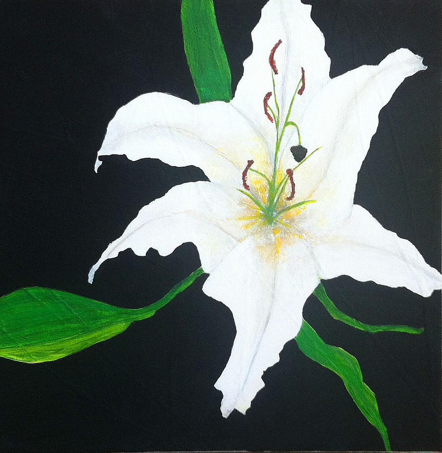 Lily Painting by Elizabeth  Bogard