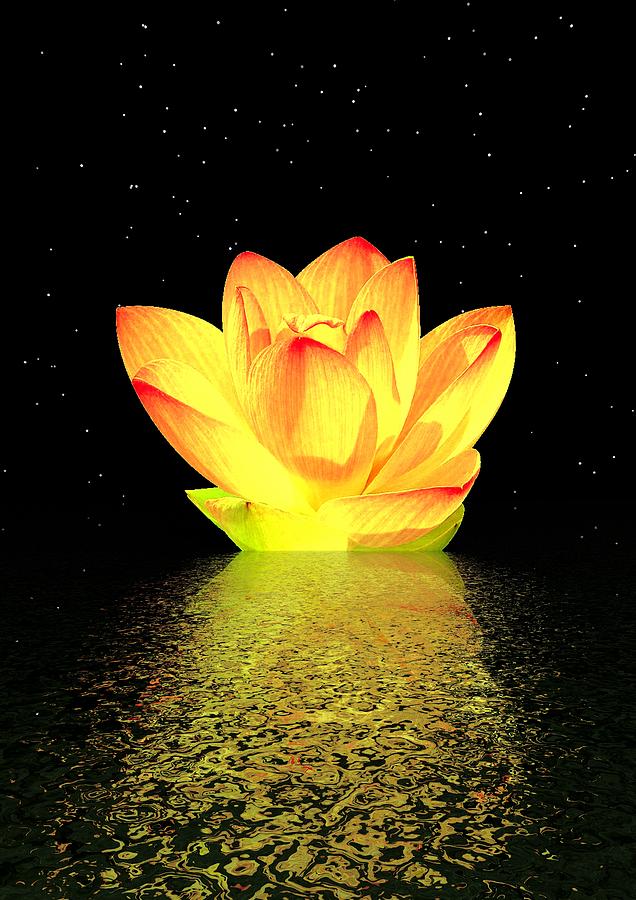 Lily Flower Yellow - 3d Render Digital Art by Marie Sprunger - Fine Art ...