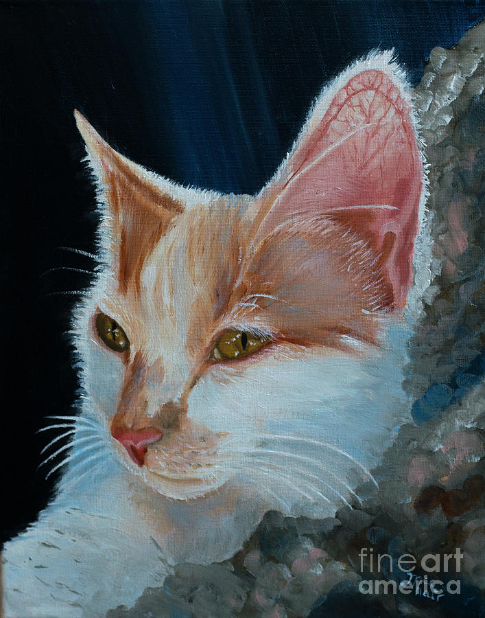Cat Painting - Lily by Jackie MacNair