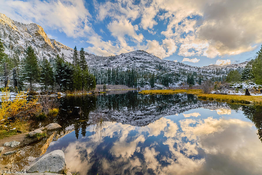 Lily Lake Photograph by Mike Ronnebeck
