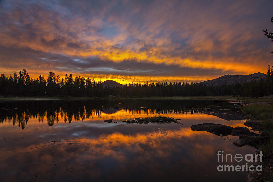 Lily Lake Sunset Photograph by Spencer Baugh