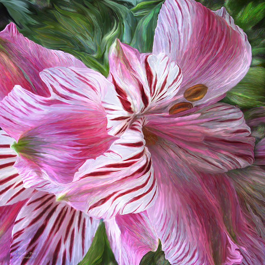 Lily Mixed Media - Lily Moods - Pink by Carol Cavalaris