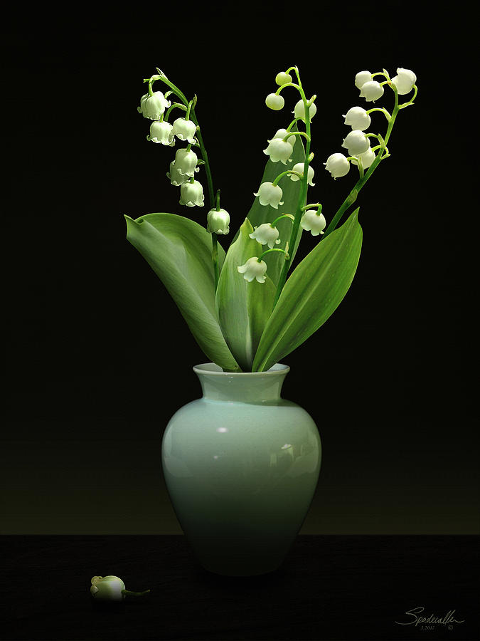 Lily of the Valley in Vase Digital Art by M Spadecaller
