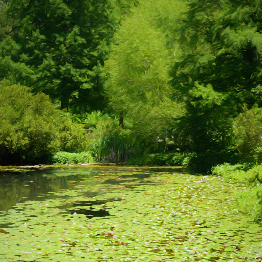 Lily Pad Pond In Summer Photograph by Ann Powell