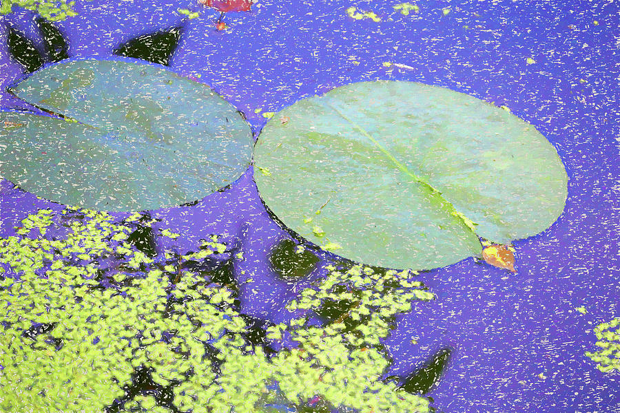 Lily Pads and Duckweed Dow Gardens Painterly 2018 Photograph by Mary Bedy