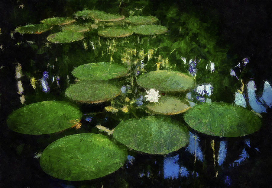 Lily Pads on the Pond Photograph by Joseph Hollingsworth