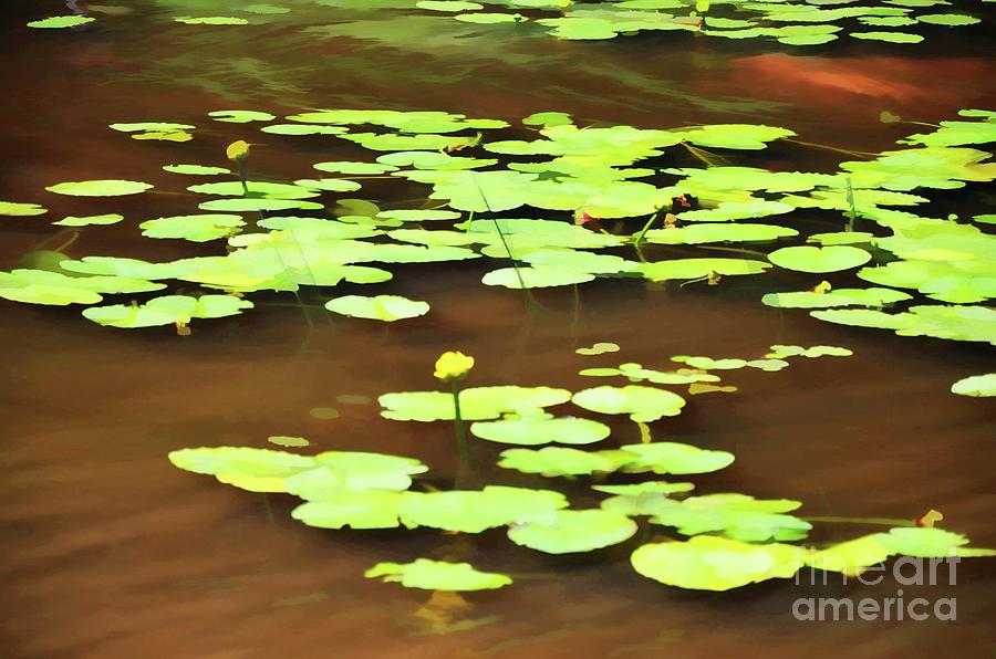 Lily Pads On The Water Painting by Jeelan Clark