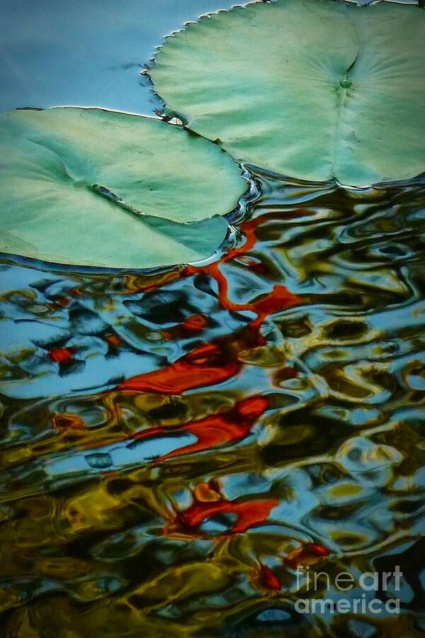 Lily Pond Abstract Photograph by Patricia Strand