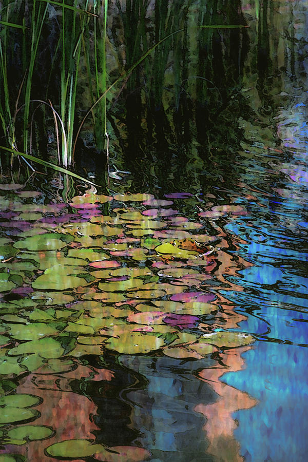 Lily Pond Digital Watercolor 5245 W_2 Photograph by Steven Ward