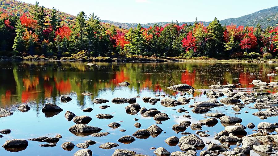 Lily Pond - Kancamagus Highway - New Hampshire Photograph by Joseph Hendrix