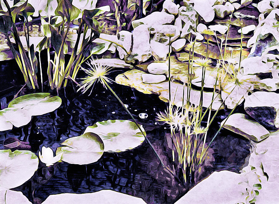 Lily Pond Mixed Media by Susan Maxwell Schmidt