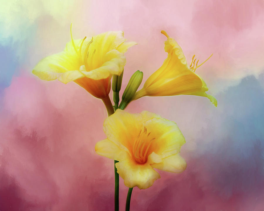Lily Trio - Painted Photograph by Nikolyn McDonald