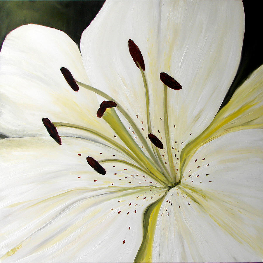 Lily White Painting by Cynthia Blair