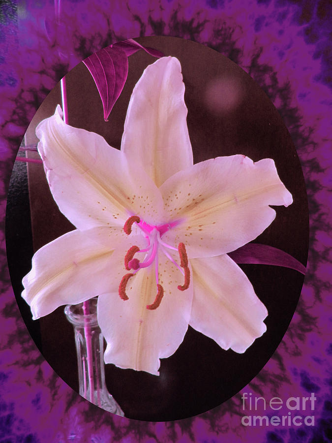 Lily with Purple Accents Digital Art by Donna L Munro