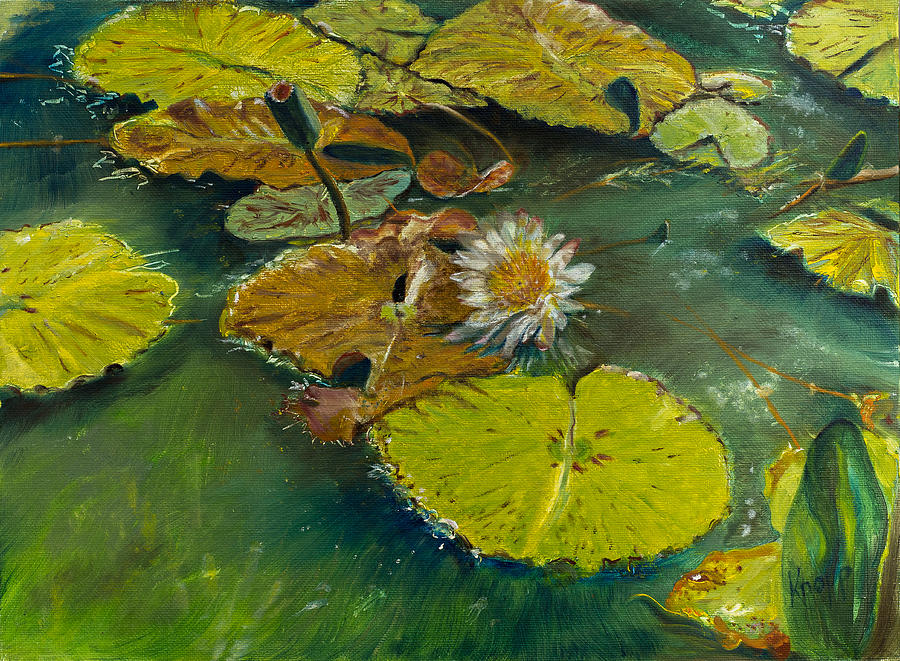Lillies Painting - Lilypad by Kathy Knopp