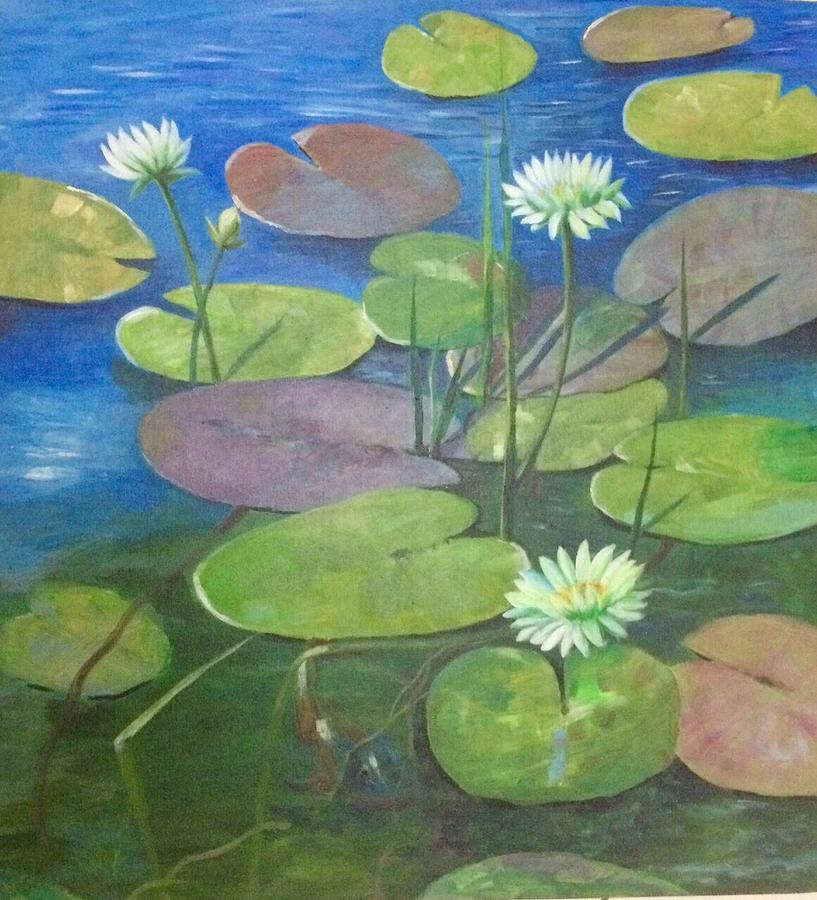 Lilypond Drawing by Vishaka Perera - Fine Art America