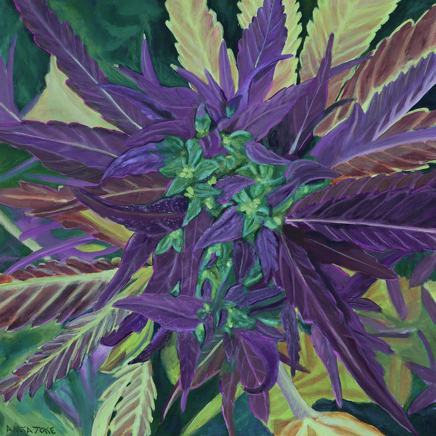 Pot Painting - Lime and Purple Bud by Anita Toke
