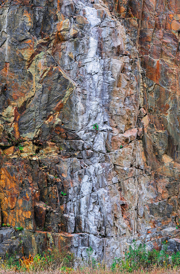 Lime Descending a Cliff Photograph by Steven Maxx