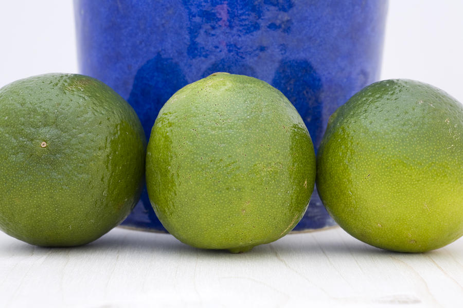 Lime Photograph - Lime by Frank Tschakert