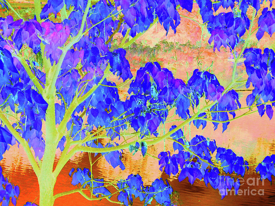 Lime Tree Sunrise Digital Art by Ann Johndro-Collins