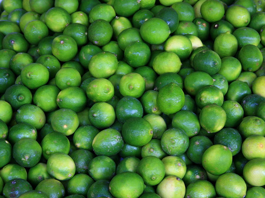 Lime Photograph - Limes by David Dunham