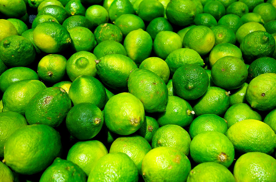 Limes Photograph by Robert Meyers-Lussier