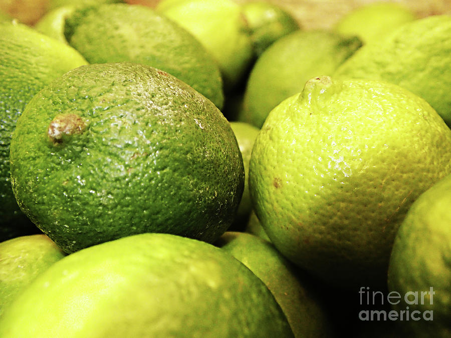 Limes Photograph by FineArtRoyal Joshua Mimbs