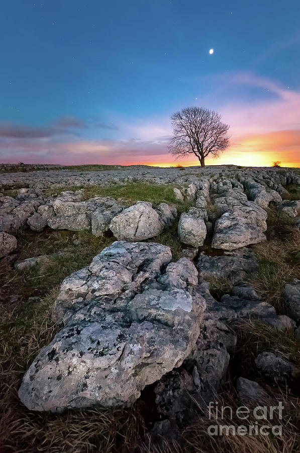 Limestone, Lonely Tree and Jupiter Photograph by Mariusz Talarek