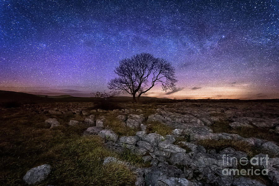 Limestone, Lonely Tree and Milky Way Photograph by Mariusz Talarek