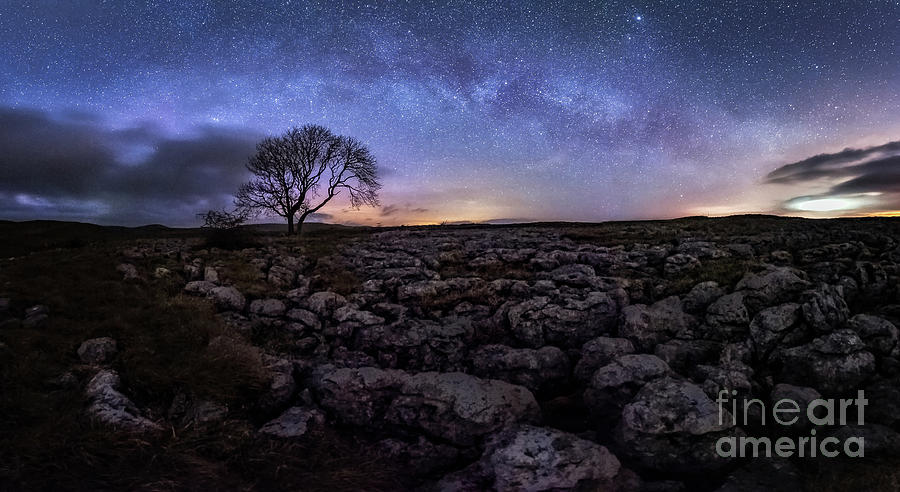 Limestone, Lonely Tree And Milky Way - Panoramic Photograph