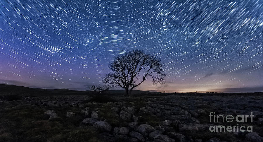 Limestone, Lonely Tree and star trails Photograph by Mariusz Talarek