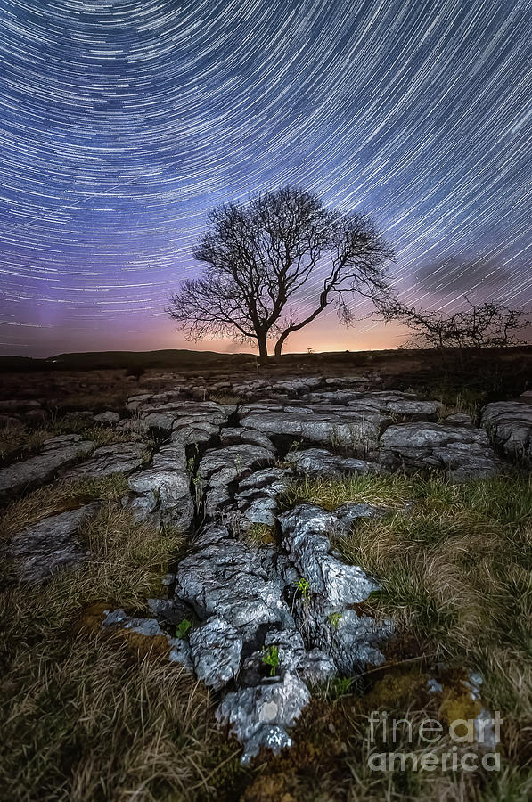 Nature Photograph - Limestone, Lonely Tree, Aurora Borealis and star trails by Mariusz Talarek