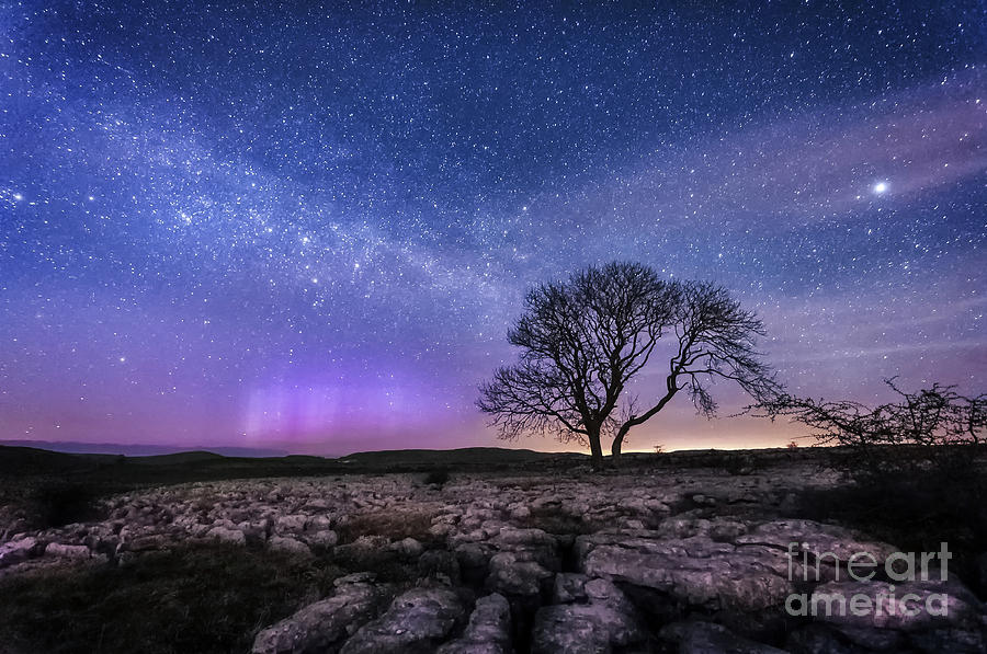 Limestone, Lonely Tree,  Milky Way And Aurora Borealis Photograph