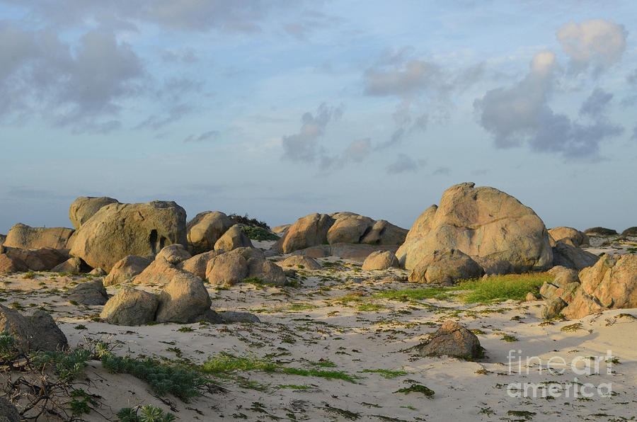 Limestone Rock Formations on the White Sand Beach of Aruba Photograph by DejaVu Designs