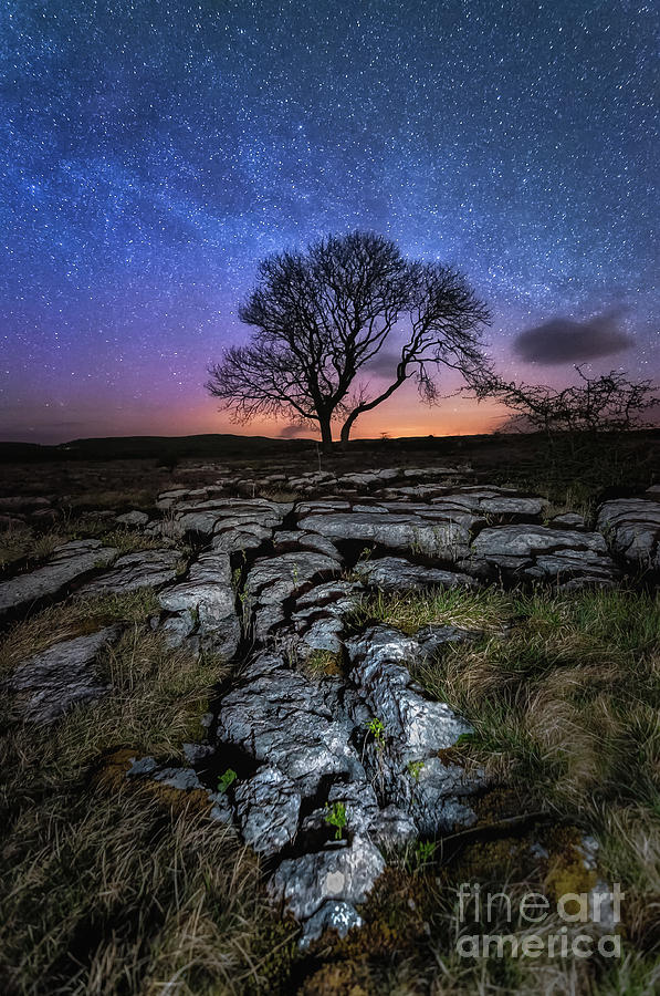 Limestone, Tree And Milky Way Photograph
