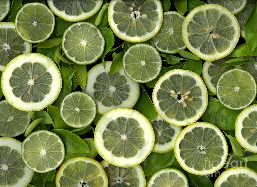 Decor Photograph - Limons by Christian Slanec