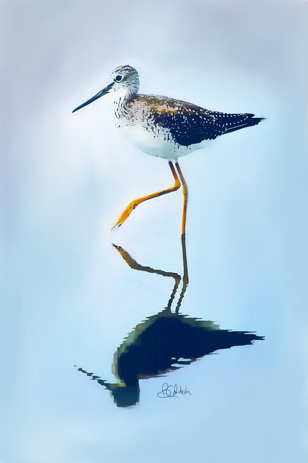 Lesser Yellow Legs Water Shadow Painting by Barbara Chichester