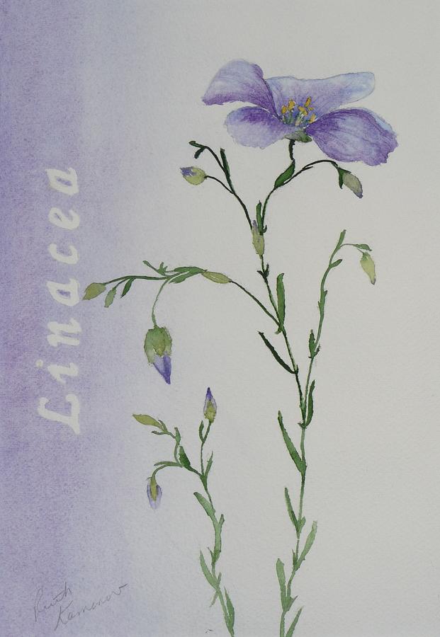 Linacea Painting by Ruth Kamenev Linacea Painting by Ruth Kamenev