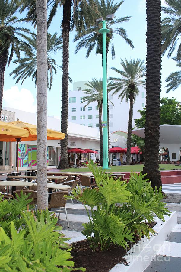 Lincoln Road with Palm Trees Photograph by Carol Groenen