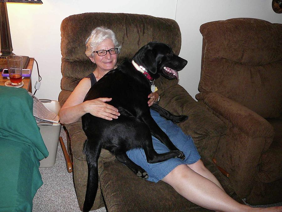 Lindas Lap Dog Photograph by Joe Smiga Lindas Lap Dog Photograph by Joe Smiga