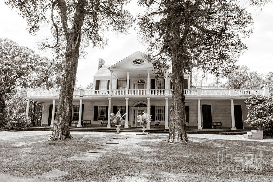 Linden Historic house in Natchez Photograph by Patricia Hofmeester