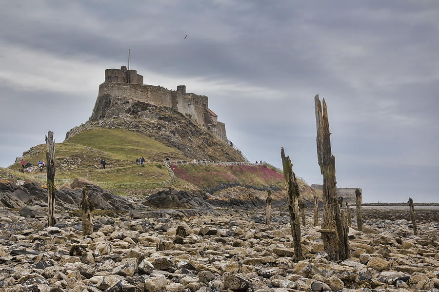Lindisfarne Castle Photograph by Chris Smith