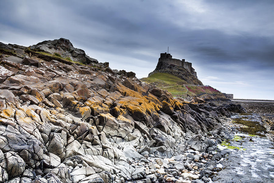 Lindisfarne Castle  holy island Photograph by Chris Smith