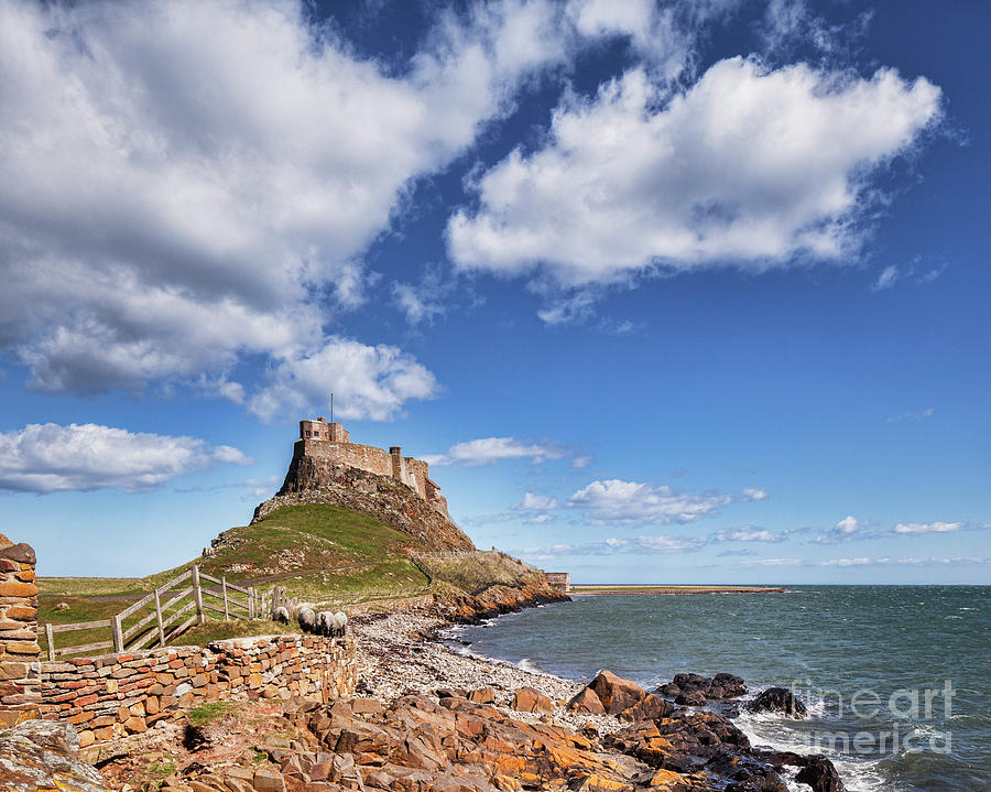 Lindisfarne Castle, Northumberland Photograph by Colin and Linda McKie