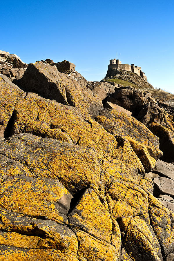 Lindisfarne Castle over lichen covered rocks. Photograph by John Paul Cullen