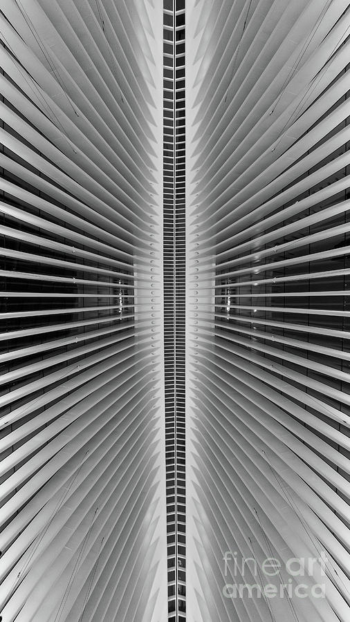 New York City Photograph - Line Of Symmetry BW by Michael Ver Sprill