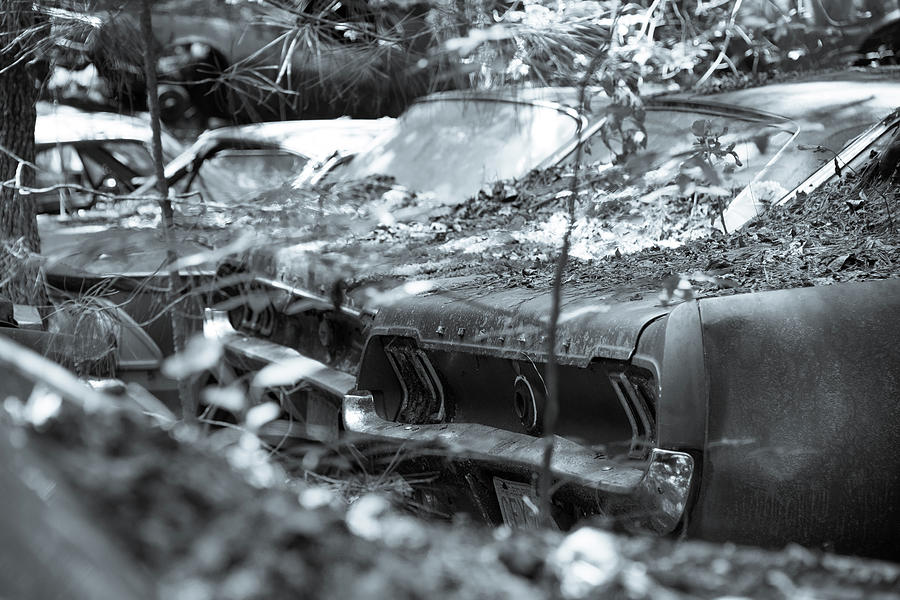 Abandoned Photograph - Line Them Up by Lindy Grasser Abandoned Photograph - Line Them Up by Lindy Grasser