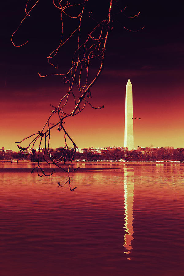 Washington Monument Photograph - Line Up by Iryna Goodall