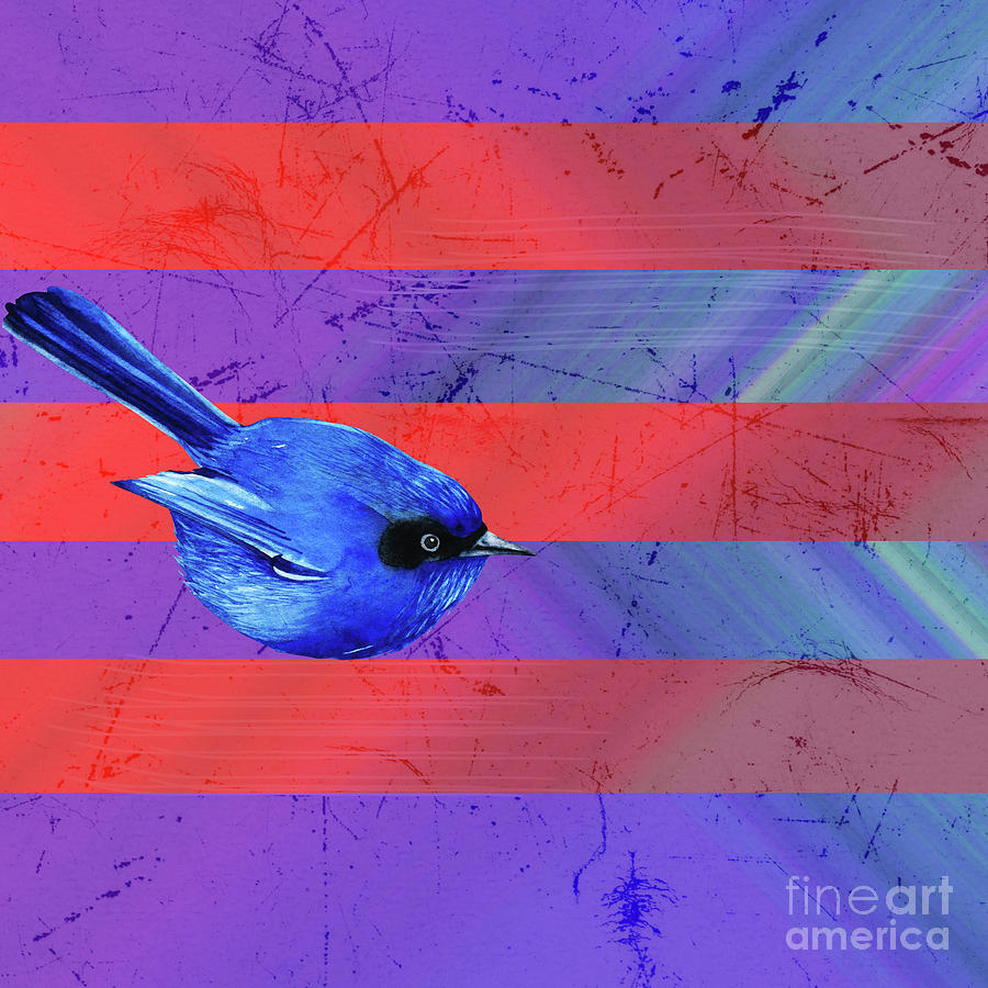 Lines and Bluebird Digital Art by Donna L Munro